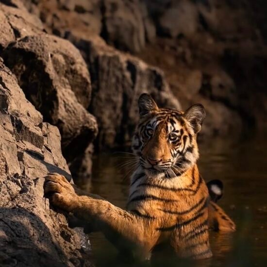 14F32EDE-BDC6-48D3-BF23-53C36DFCF848 3